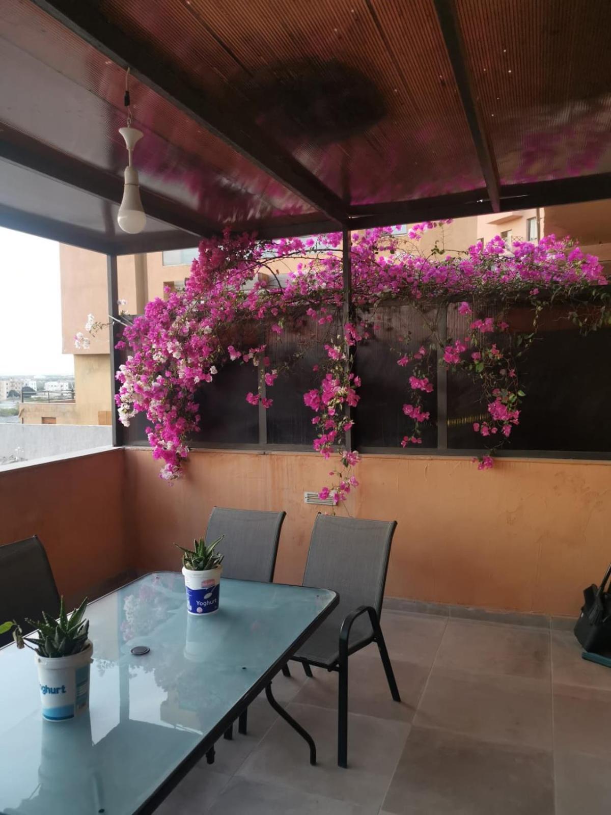 A Wonderful Stay At The Dead Sea Sweimeh Exterior foto